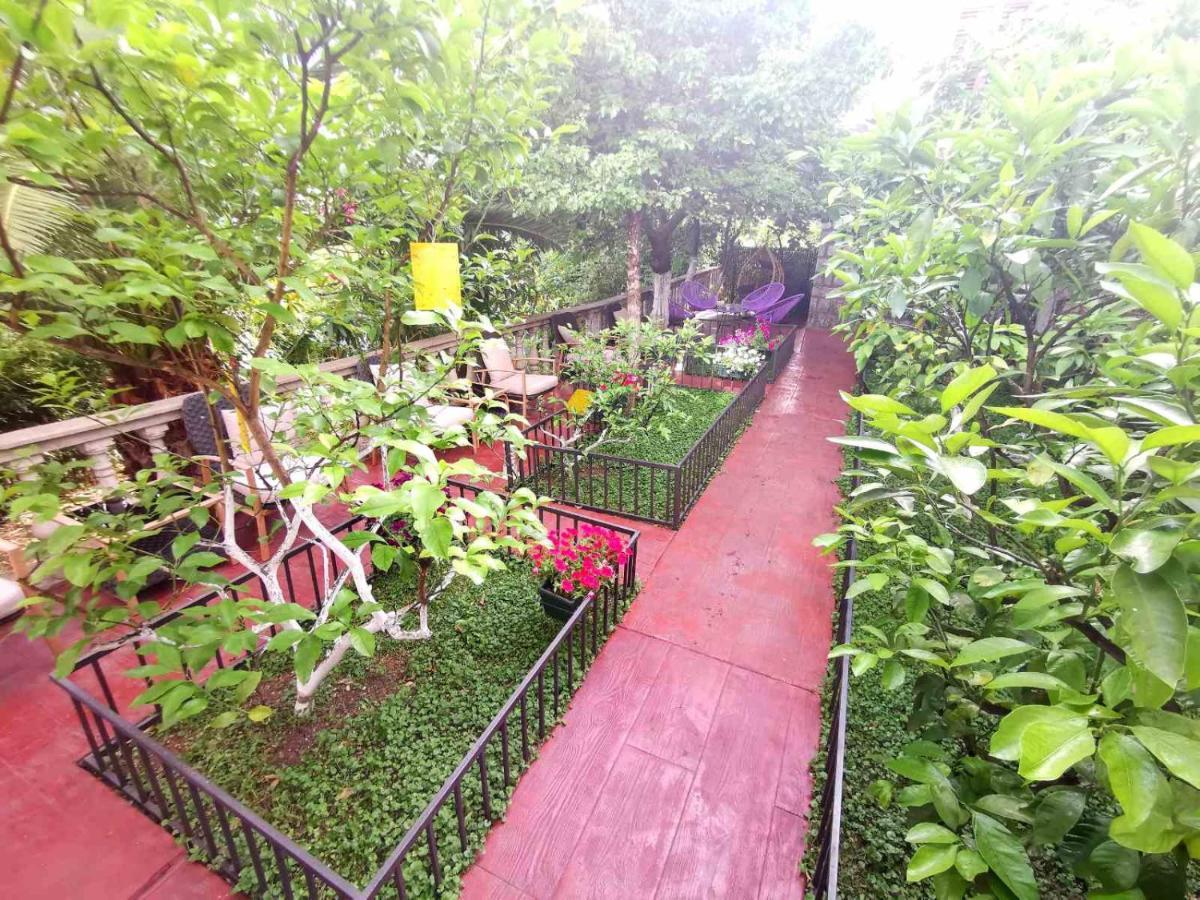 Hotel Alkima Котор Екстериор снимка
